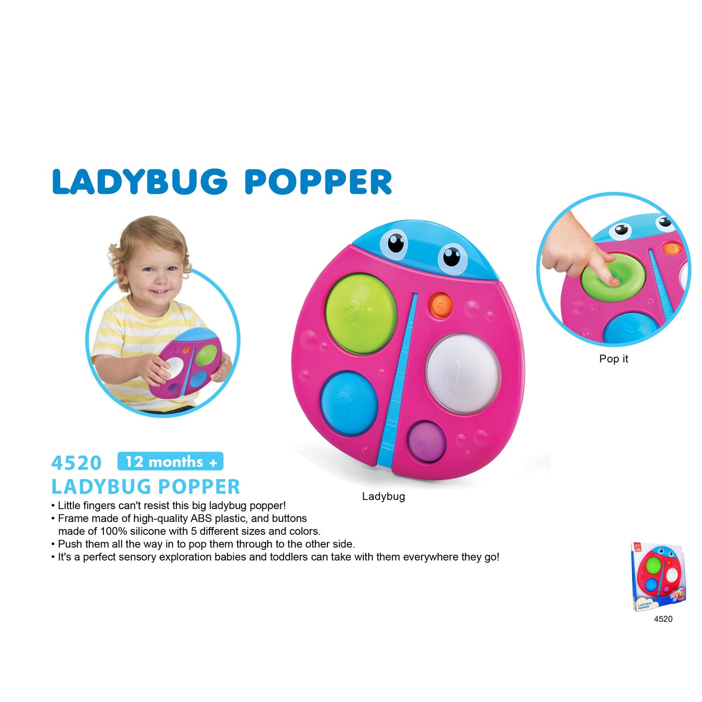 Little Learners' Ladybug Popper
