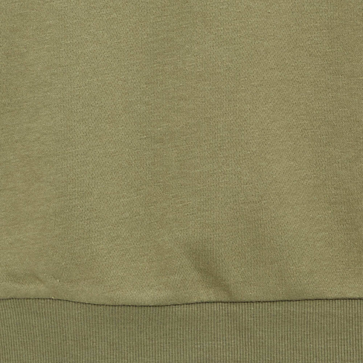 Plain brushed sweatshirt GREEN