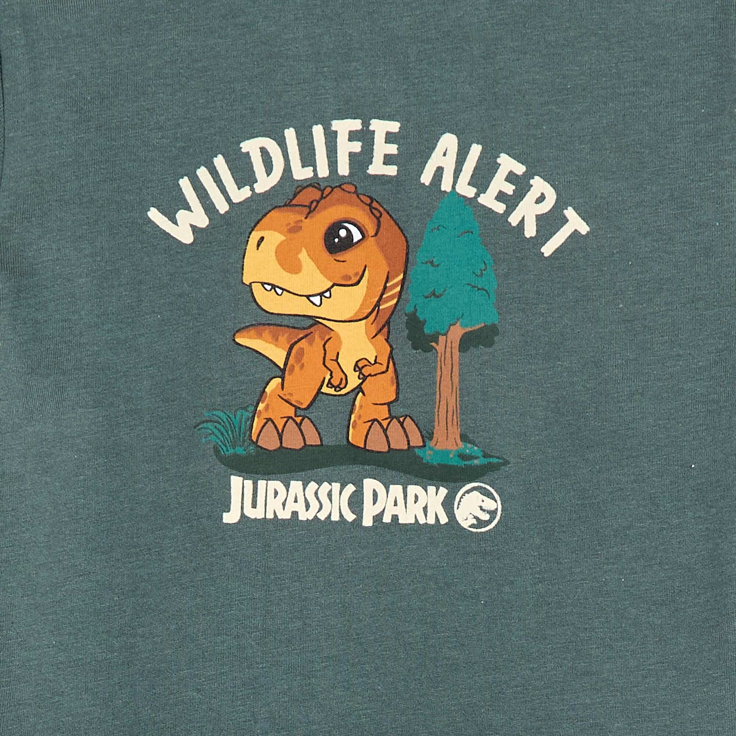 Dinosaur Print Long Pyjamas GREEN