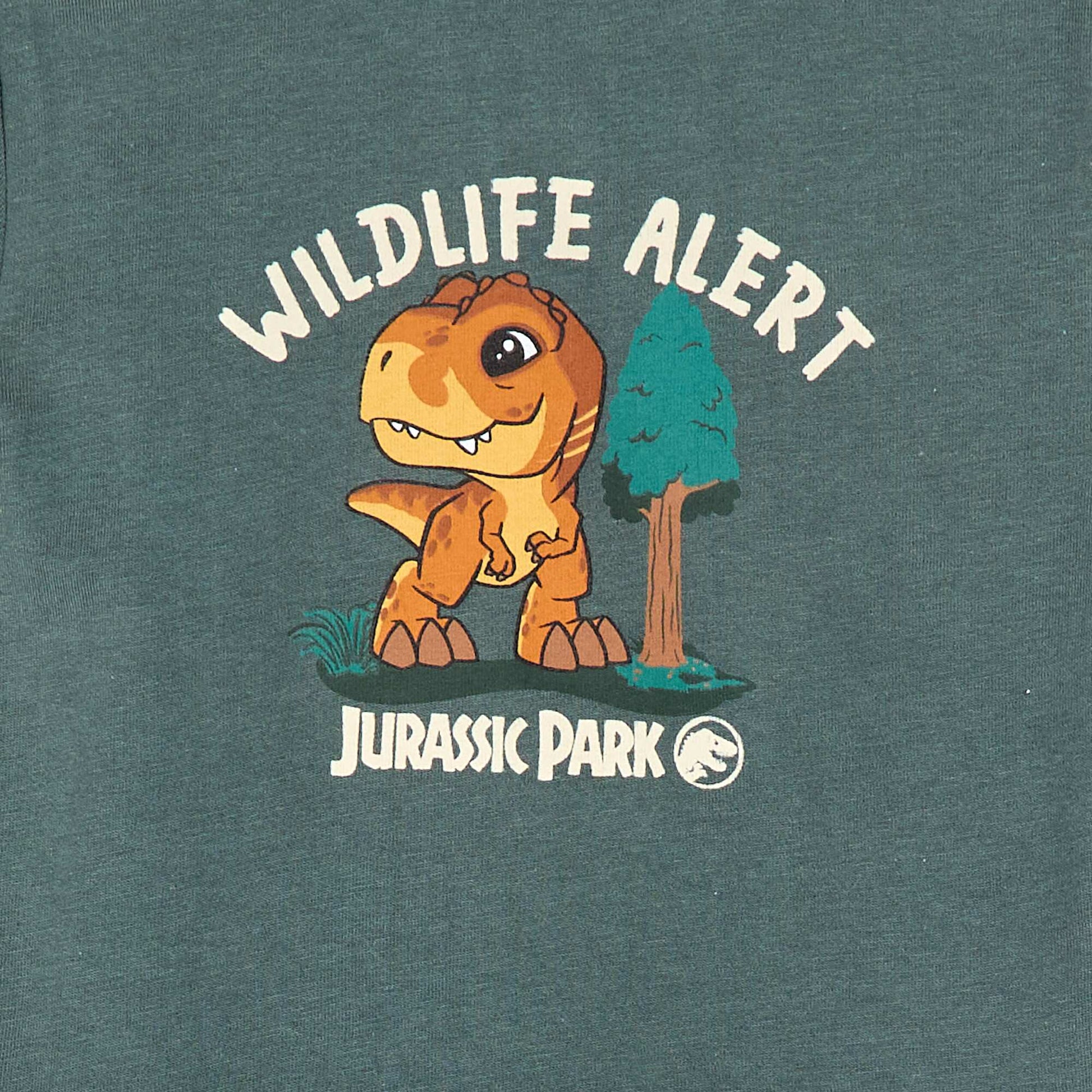 Dinosaur Print Long Pyjamas GREEN