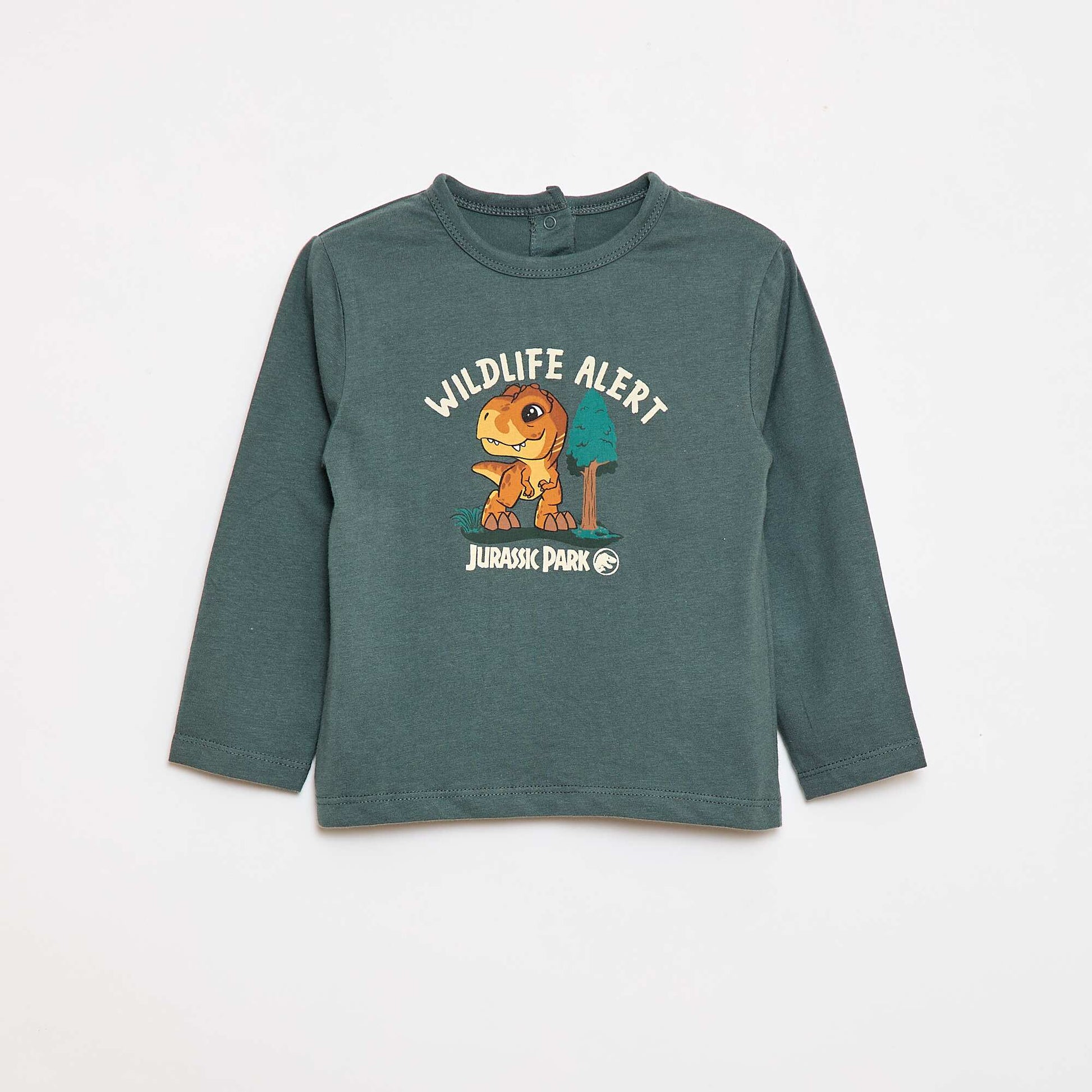 Dinosaur Print Long Pyjamas GREEN