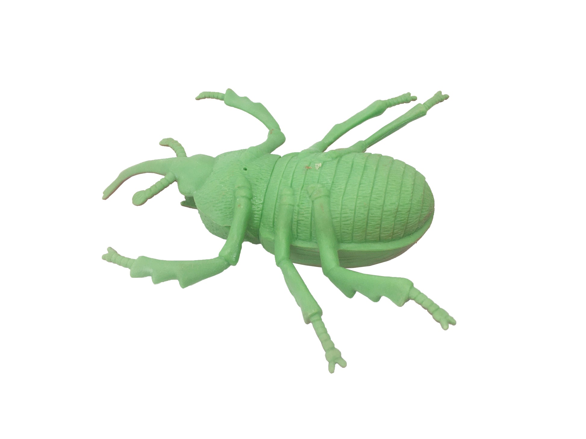 Galaxy Realistic Insect Animal Toy
