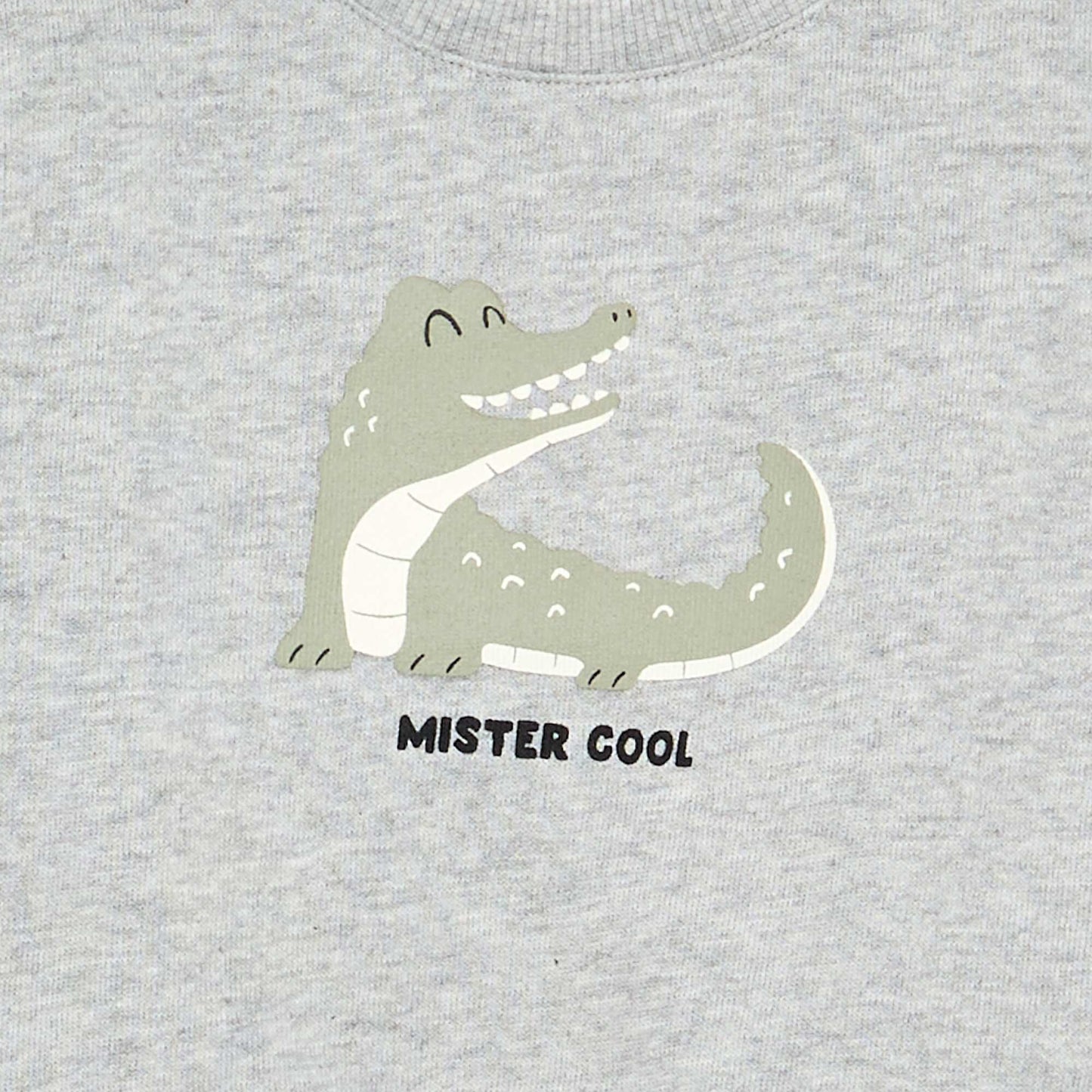 Lightweight Fleece Sweatshirt with Print GREY