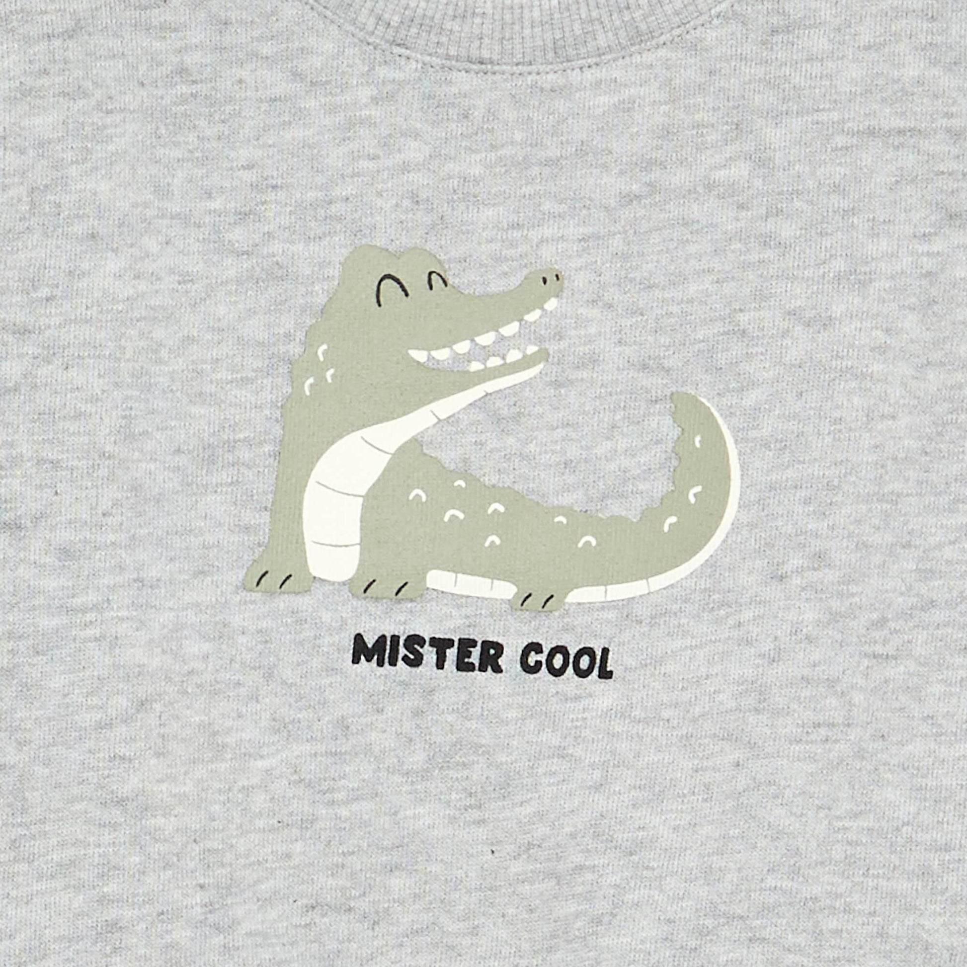 Lightweight Fleece Sweatshirt with Print GREY