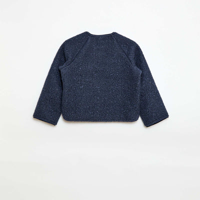 EVI67_2_ZC2