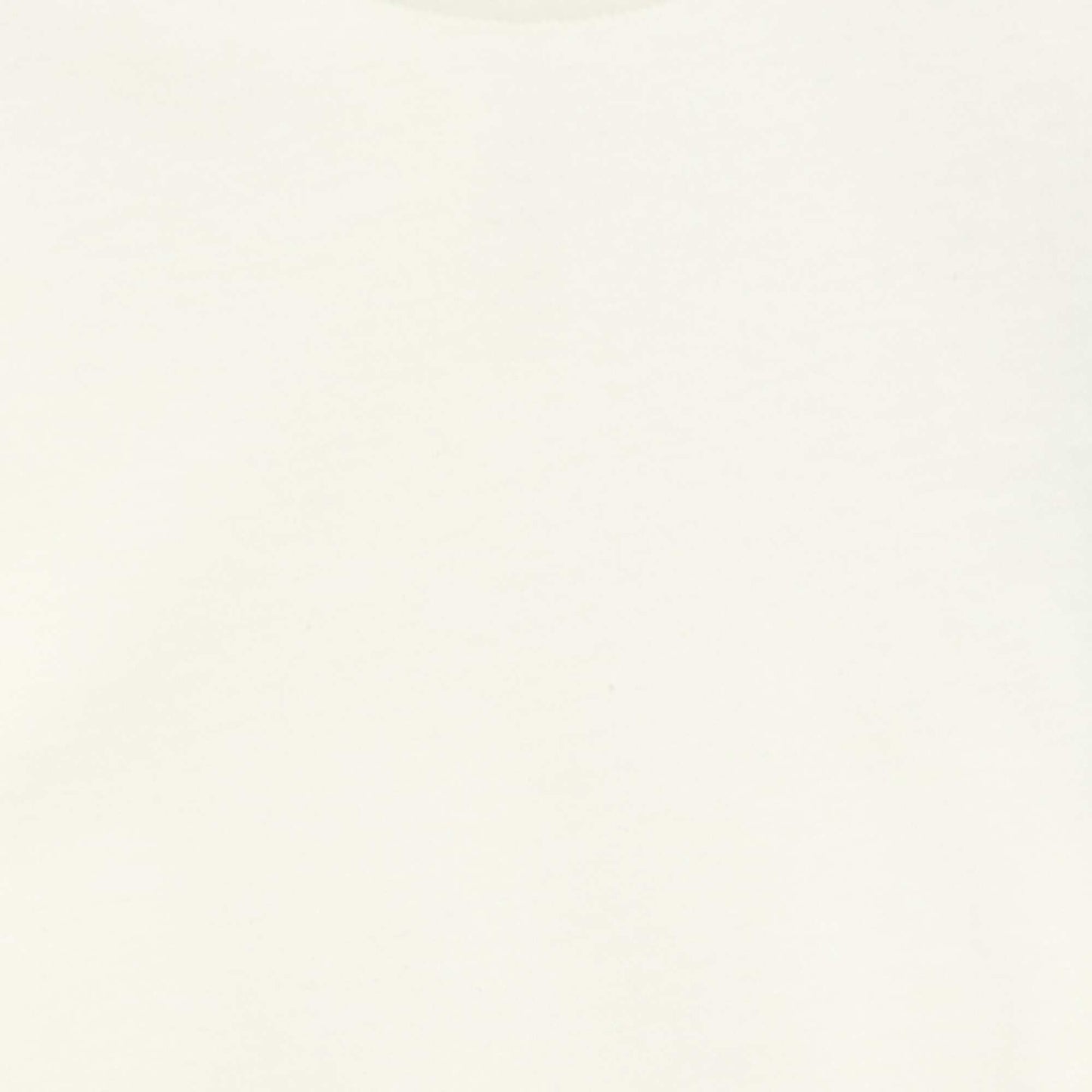 Short-sleeved T-shirt with Broderie Anglaise WHITE
