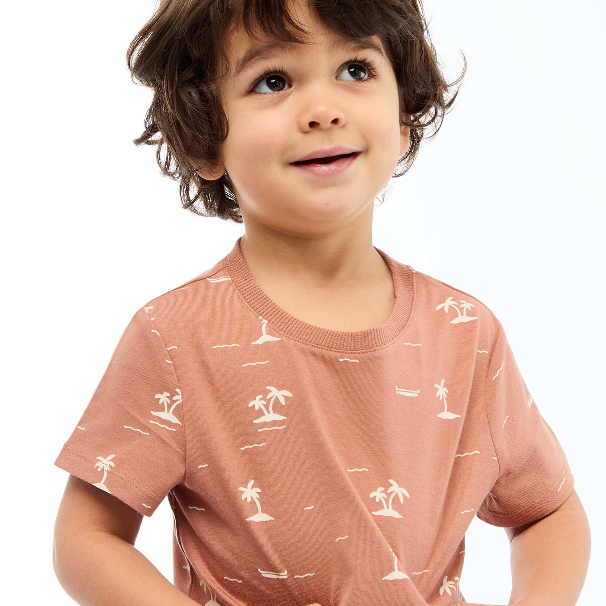Plain Cotton Jersey T-shirt BROWN