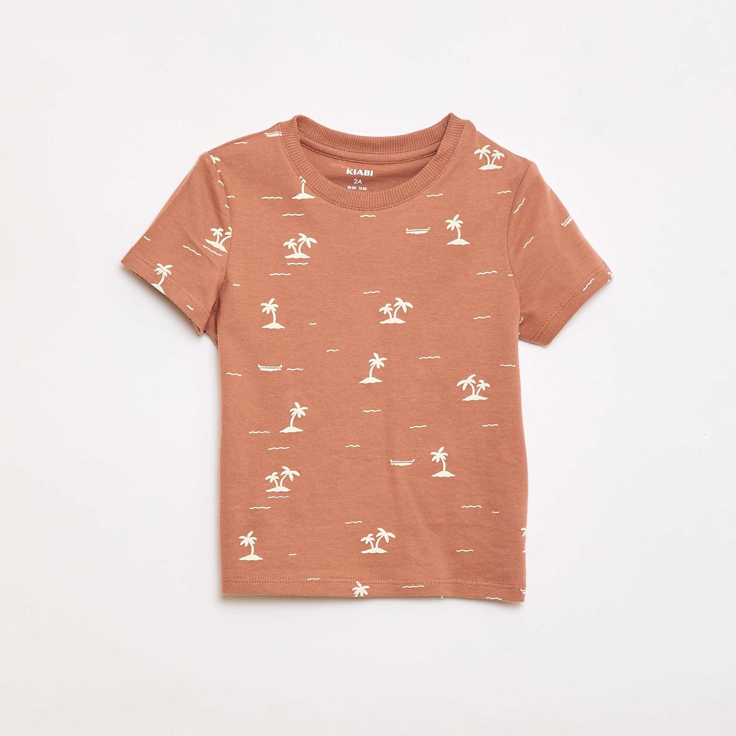 Plain Cotton Jersey T-shirt BROWN