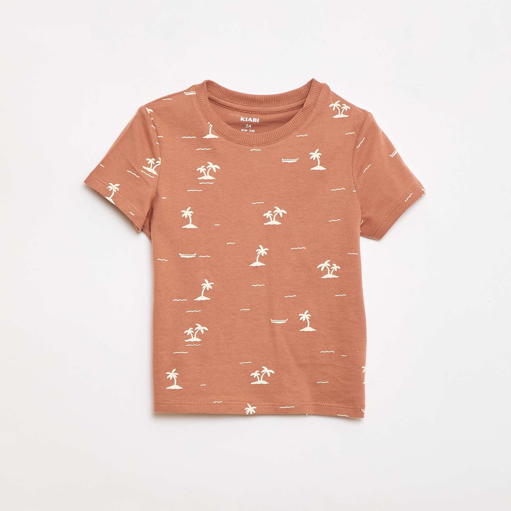 Plain Cotton Jersey T-shirt BROWN
