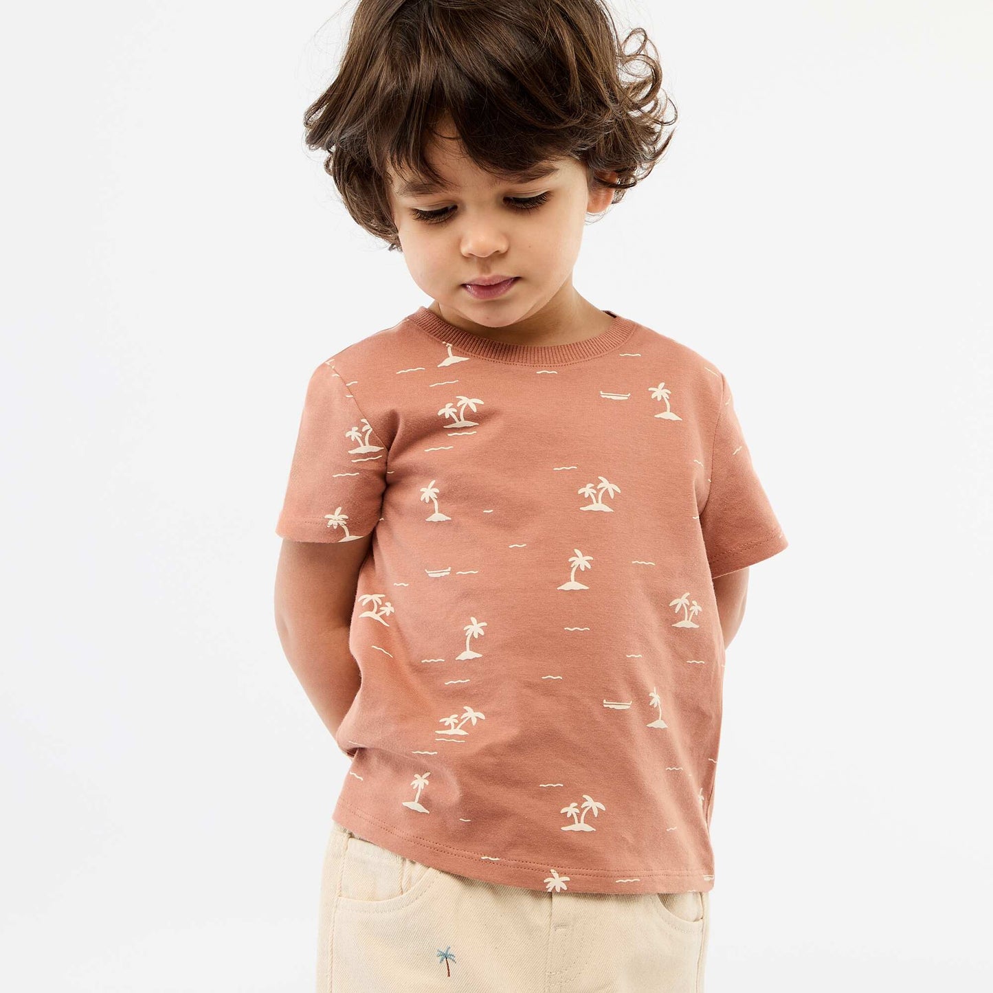 Plain Cotton Jersey T-shirt BROWN
