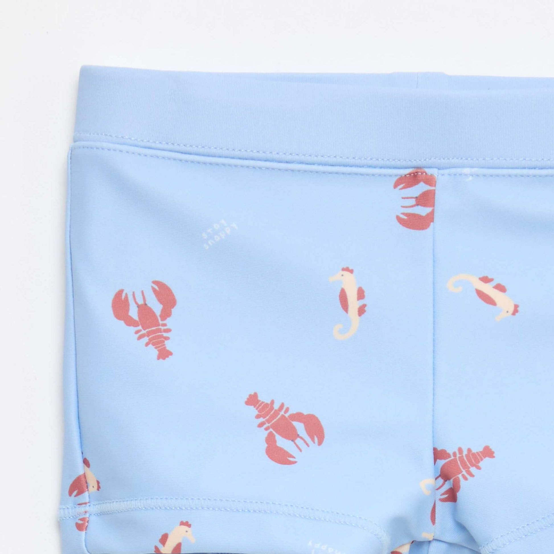 2-Pack Swim Boxers BLUE