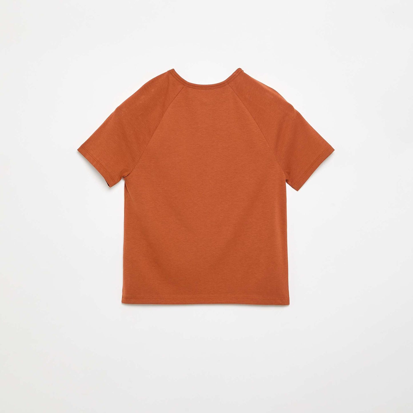 Embroidered Short-Sleeved T-shirt BROWN