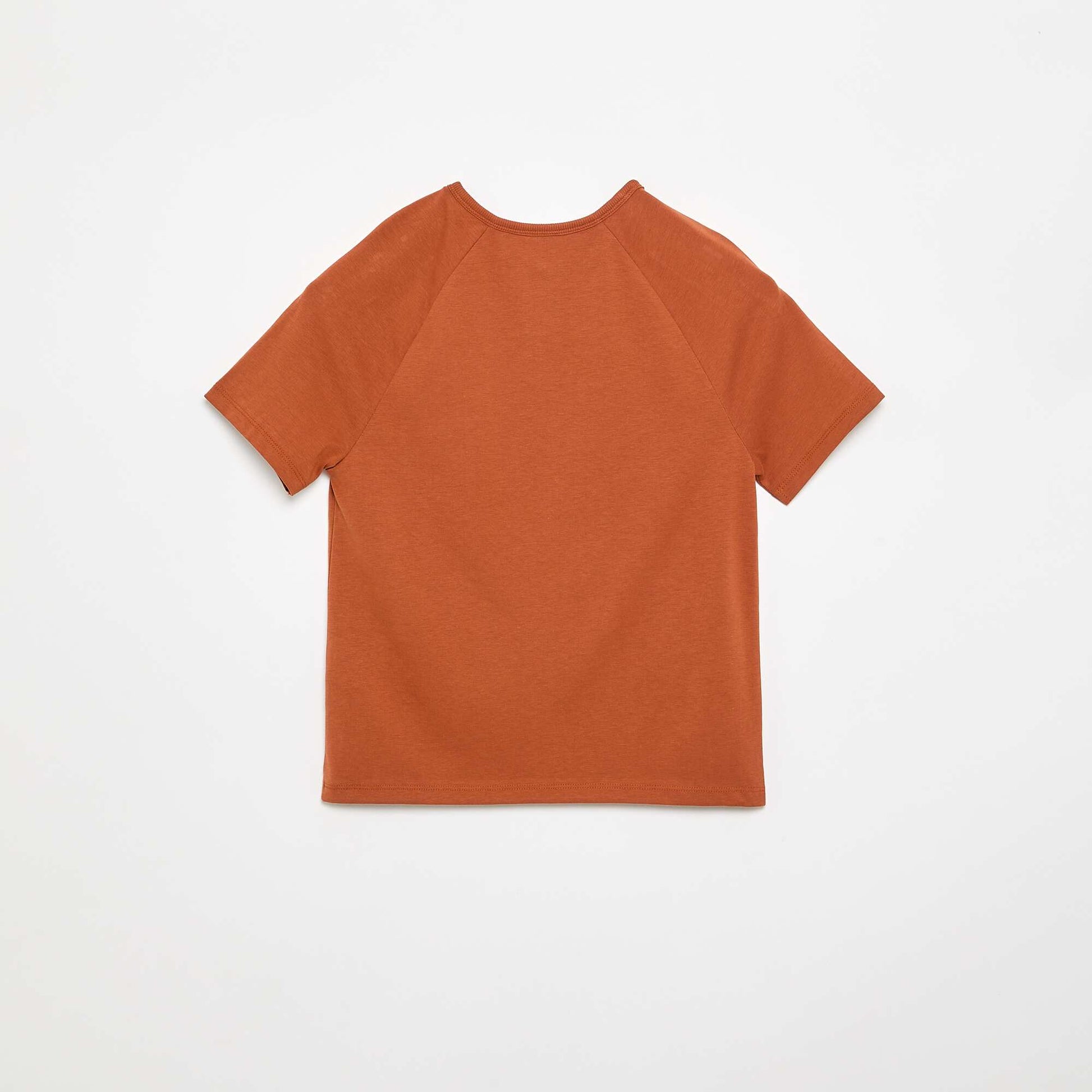 Embroidered Short-Sleeved T-shirt BROWN