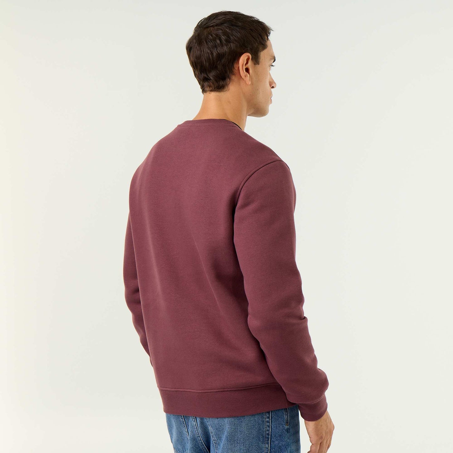 Plain Brushed Fleece Sweatshirt PURPLE