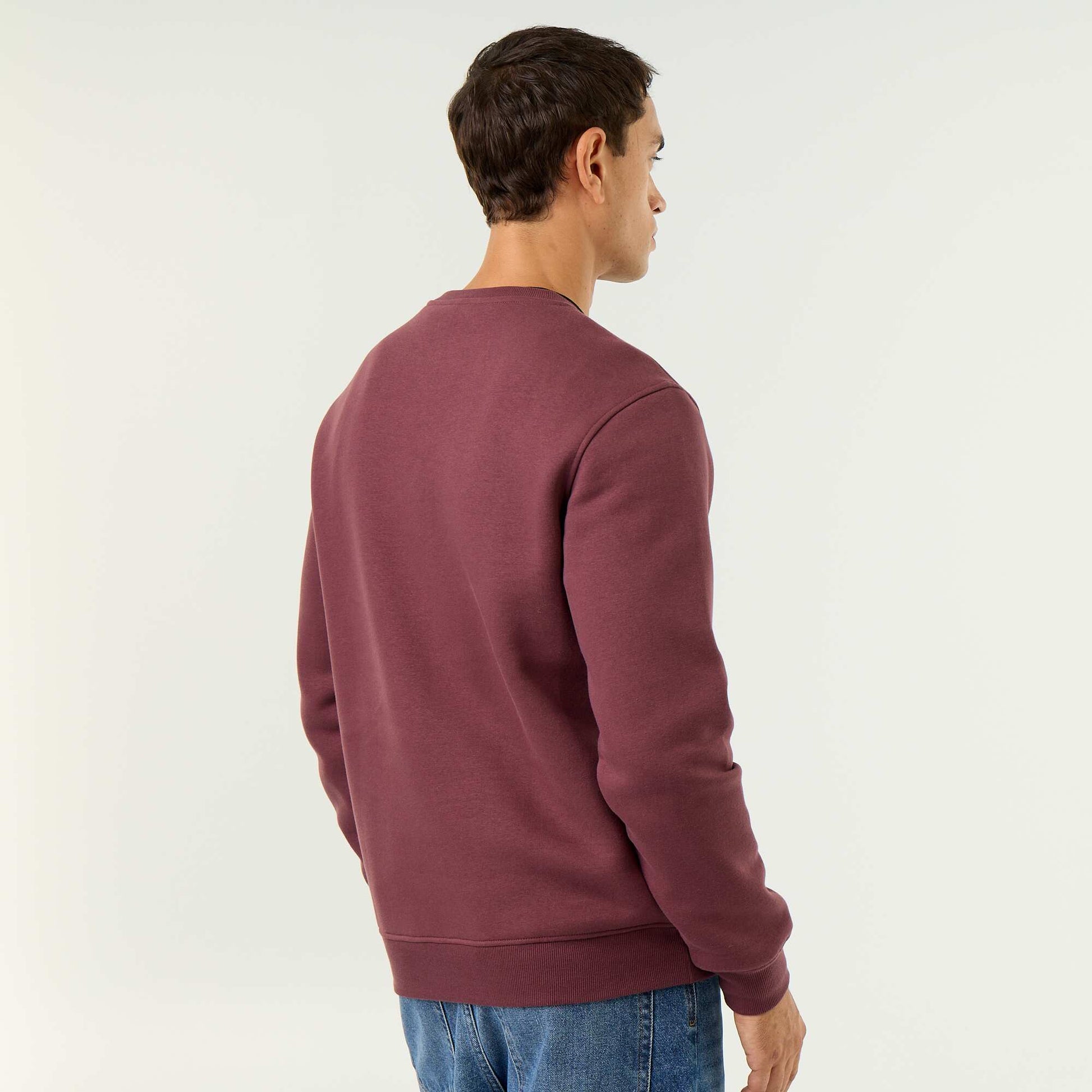 Plain Brushed Fleece Sweatshirt PURPLE