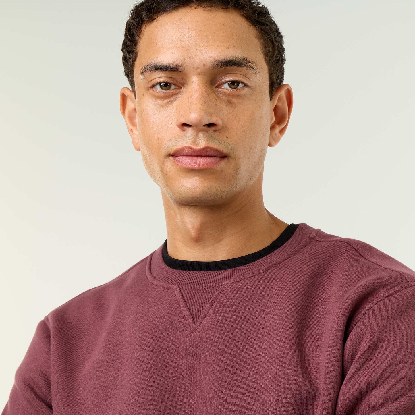 Plain Brushed Fleece Sweatshirt PURPLE
