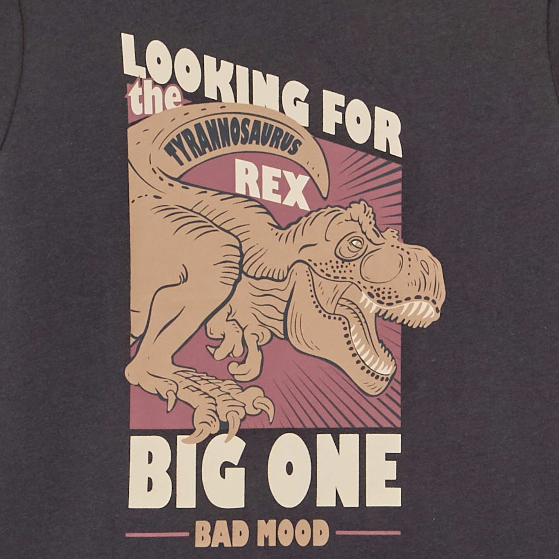 Long-sleeved printed T-shirt GREY