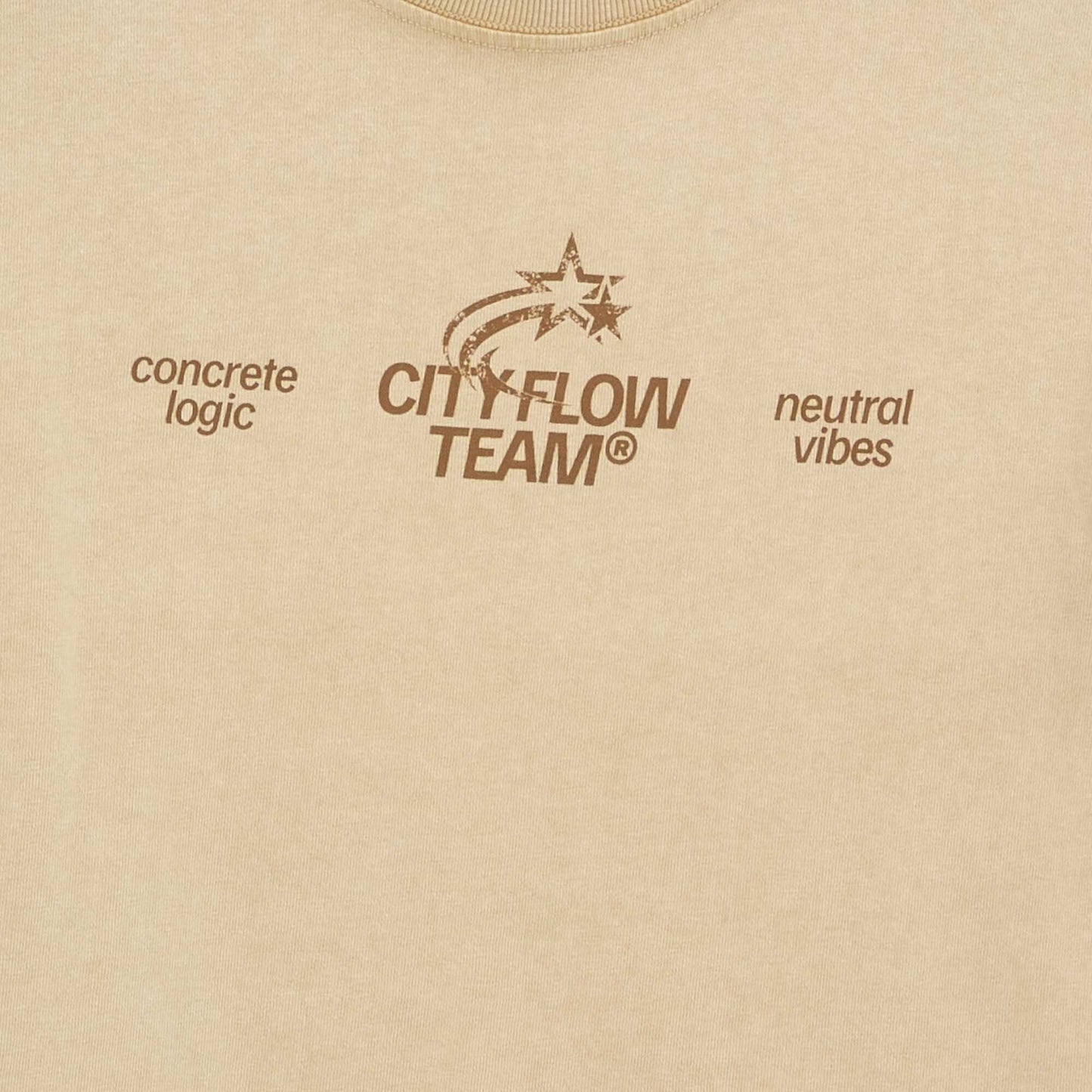 Printed Short-Sleeved T-shirt BEIGE