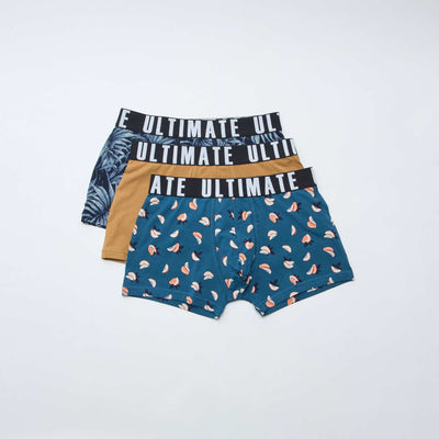 Pack of 3 patterned boxer shorts BLUE